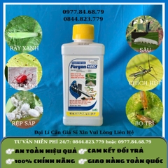 Trừ Sâu Forgon