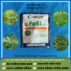 Fasi (cỏ lúa 6-12 ngày)