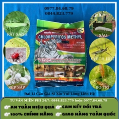 Mối Chlorifos Methyl