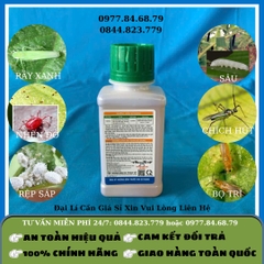 RiceUp 300EC 100ml