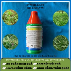 Thuốc Cỏ Hồng Hài Nhi