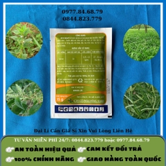 Cỏ cặp SIFA