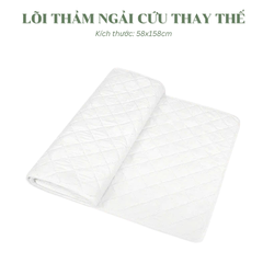 Thảm ngải cứu Đông y THCOMPANY hỗ trợ tăng cường tuần hoàn máu,giảm đau mỏi xương khớp