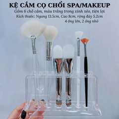 Kệ cắm cọ spa cọ chổi trang điểm TH COMPANY cao cấp và hộp đựng bông tẩy trang