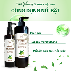 Dầu Gội Hỗ Trợ Bết Dầu, Gàu Nấm ADEVA, Chiết Xuất Trái Nhàu Và Dược Liệu Thiên Nhiên