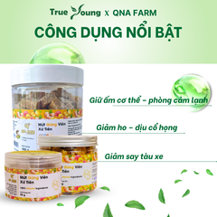 Mứt gừng viên Xứ Tiên cay nhẹ thơm nồng, giữ ấm cơ thể