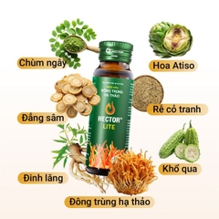 Nước Nấm Đông trùng hạ thảo Hector Lite hỗ trợ cải thiện chỉ số đường huyết
