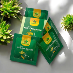 Trà túi lọc Sâm Ngọc Linh Sâm Vina