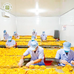 Xoài Sấy Dẻo ĐÔ 37 Ngon Mềm Ngọt Vàng Tươi Nhờ Công Nghệ Sấy Lạnh