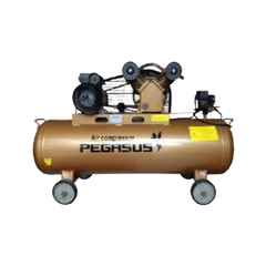 Máy nén khí 1 cấp Pegasus TM-V-0.25/8-120L – 3HP, 120L, 8 bar (220 V)