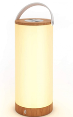 Đèn ngủ LED di động TaoTronics TT-DL23
