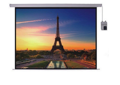Màn chiếu Điện Dalite PW96ES 120 Inch (2m44x1m83/ 96 inch x 72 inch / tỷ lệ 4:3/ Matte white)