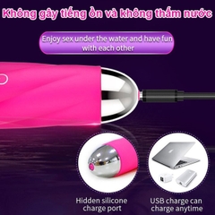BDT111 - Chày rung silicon có đầu thay thế dài 19cm sạc điện và sưởi ấm