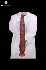 BDT3661 - Long anal vân gai vảy rồng 3D đầu thuôn nhọn và đế gắn tường