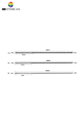 BDT4237 - Sounding inox với chuỗi bi liền mix cầm tay trơn dài 24cm