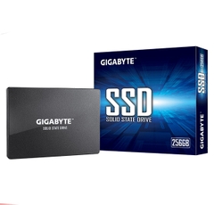Ổ SSD Gigabyte GP-GSTFS31256GTND 256Gb (SATA3/ 2.5Inch/ 520MB/s/ 500MB/s)