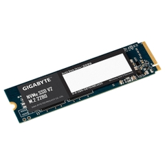 Ổ cứng SSD GIGABYTE 256GB M.2 2280 PCIe Gen 3x4 - G3NVMEV2256G