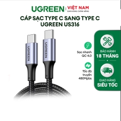 Cáp Type C PD100W US316