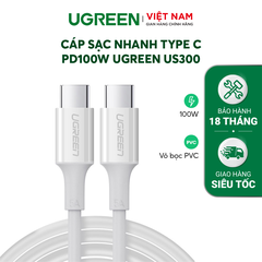 Cáp C to C 100W US300
