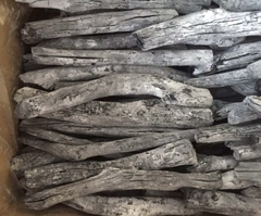 Binchotan White Charcoal