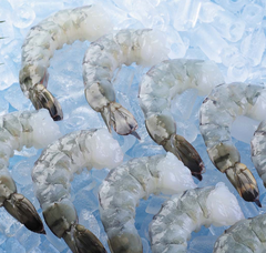 Raw Black tiger PDTO