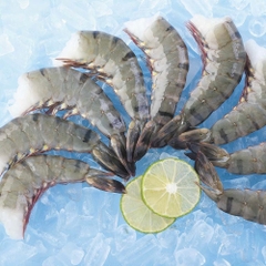 Raw Black tiger Shrimp HLSO