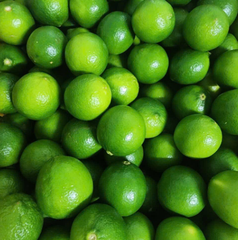 Fresh seedless lime