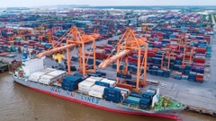 促进中越贸易合作- Xúc Tiến Thương Mại Việt Nam Trung Quốc 2026