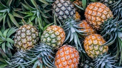 Pineapple benefits