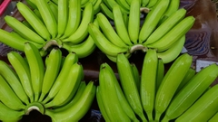 Lễ xuất khẩu 220 tấn chuối Đồng Nai