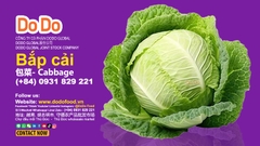 Cabbage Benefits