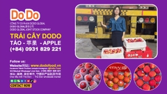 CÔNG TY CỔ PHẦN DODO GLOBAL NHẬP KHẨU VÀ PHÂN PHỐI TÁO