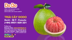 Vietnam Pomelo Exports