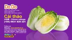 Napa Cabbage Benefits