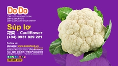 Cauliflower Benefits