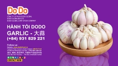 Lợi ích của ăn tỏi