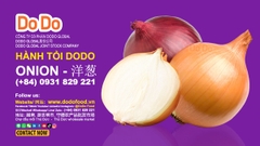Onion Benifits