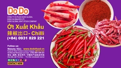 Vietnam's chili export-  越南辣椒出口