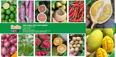 Từ 1/7, nông sản chủ lực được truy xuất nguồn gốc trên hệ thống số