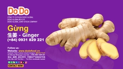 生姜怎么用？How to use ginger?