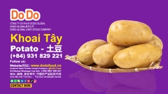 Potato Benefits