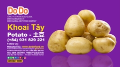 中国出口土豆- China Potato Exports