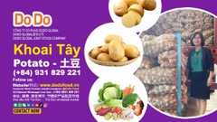 Khoai tây giá tốt Tháng 6, 2026 | Mua ngay