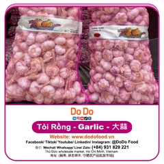 Chinese Garlic Export- 中国大蒜出口