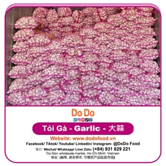 Tỏi Gà - DoDo Food