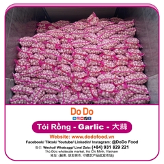 Tỏi Rồng