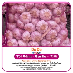 Tỏi Rồng