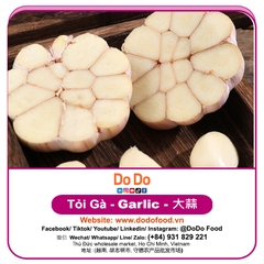 Tỏi Gà - DoDo Food