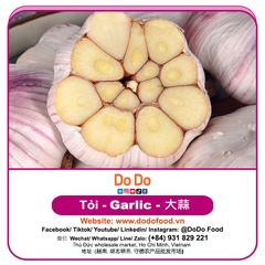 Tỏi Ngựa - DODO GLOBAL