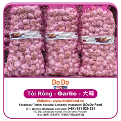 Tỏi Rồng